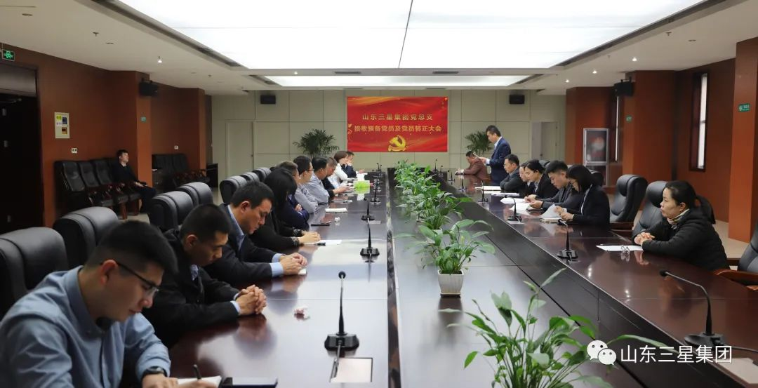 山东hjc黄金城集团党总支召开接收预备党员及党员转正大会