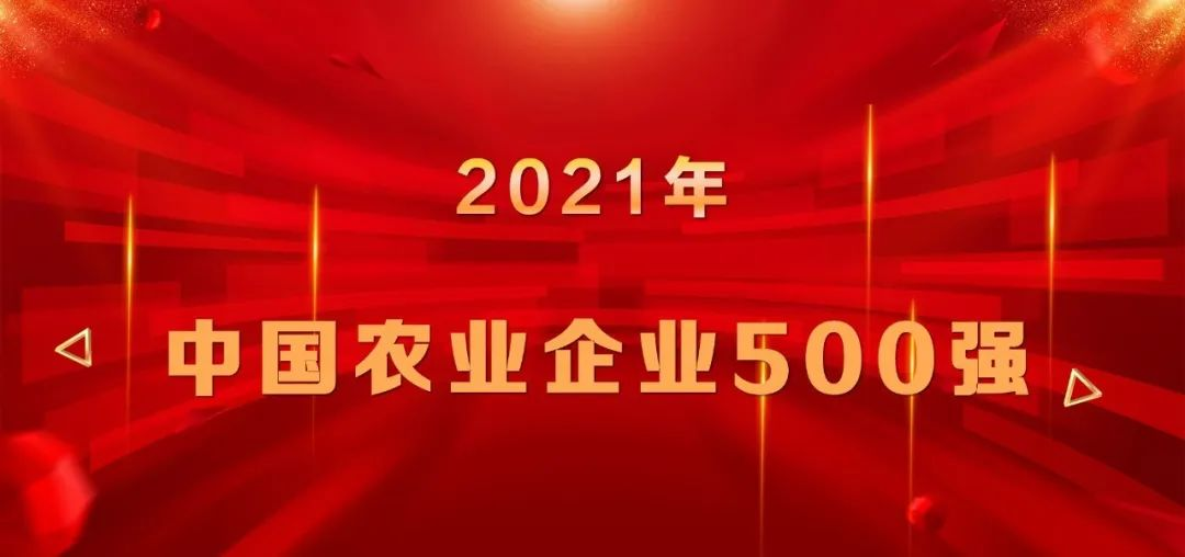 上榜|山东hjc黄金城集团再登中国农业企业500强榜单