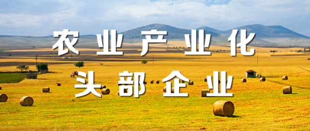 山东hjc黄金城集团荣登“2021年度农业产业化头部企业100家”“植物油行业头部企业10家”榜单