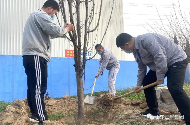 【植树节】山东hjc黄金城集团：万物萌发季 春来植绿时