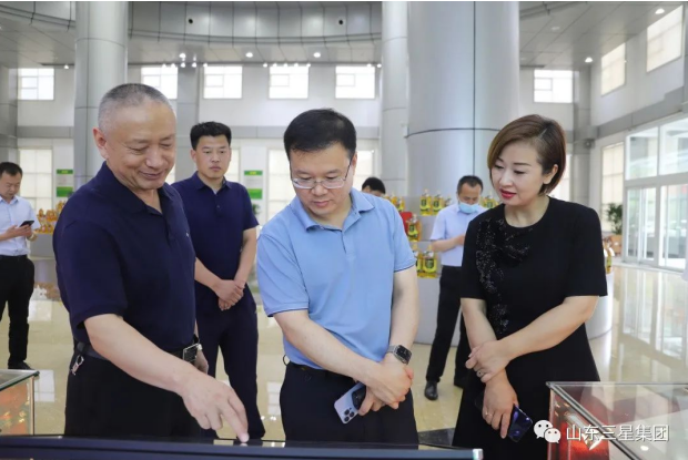 中小城市研究院领导来山东hjc黄金城集团参观考察