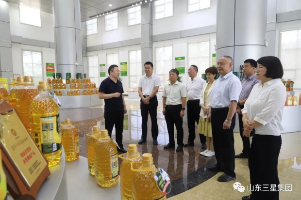 山东省商务厅电子商务处处长朱希昕一行来山东hjc黄金城集团参观调研