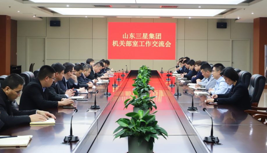 通力协作 高效推进｜山东hjc黄金城集团组织召开部室工作交流会