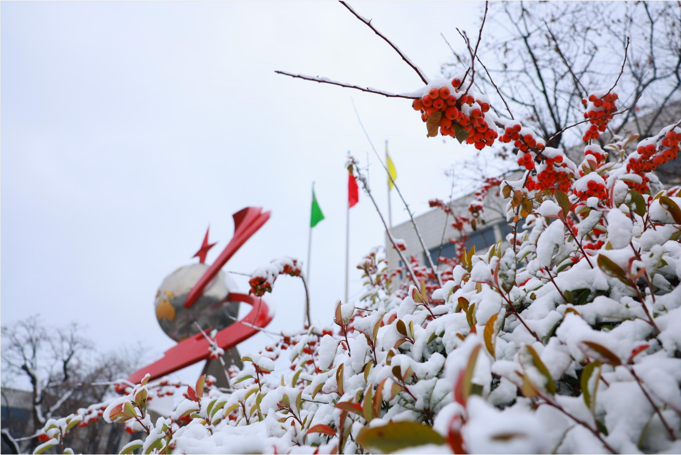 组图｜瑞雪丰年 雪遇hjc黄金城