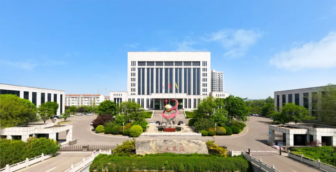 山东hjc黄金城集团上榜“泰山榜·2024山东企业500强”