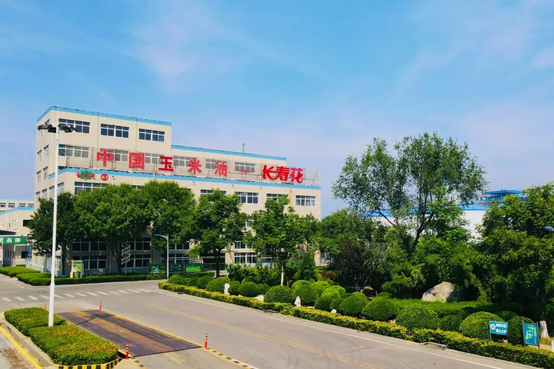 算圣文脉承千古 匠心守护铸经典|长寿花食品倾情赋能《算圣归来/刘徽传奇》