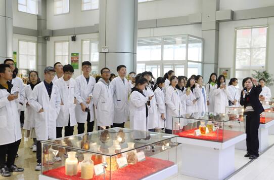 滨州学院师生来山东hjc黄金城集团参观学习