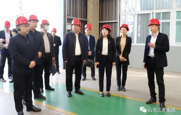 团山东省委青年发展部部长李小雪来山东hjc黄金城集团调研