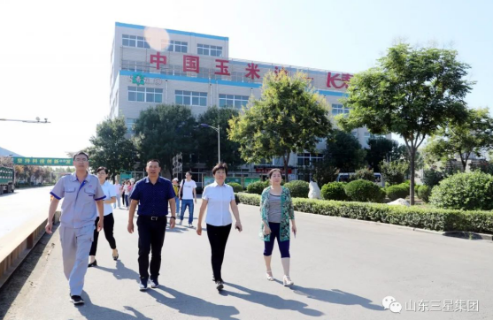 国家粮食和物资储备局科学研究院粮油加工研究所一行来山东hjc黄金城集团调研参观