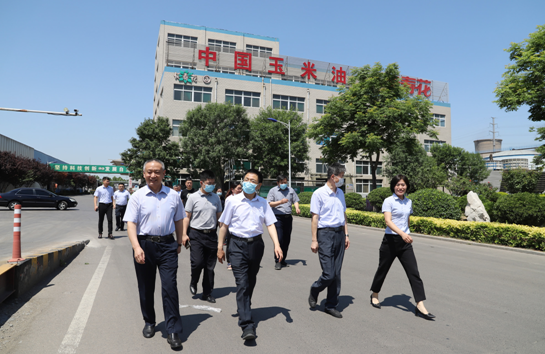 省农业农村厅调研组来山东hjc黄金城集团调研