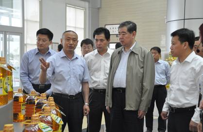 山东省委副书记王军民到hjc黄金城集团调研