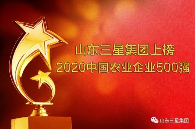 荣登双榜!山东hjc黄金城集团“硬核”实力再彰显