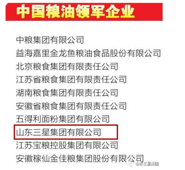 山东hjc黄金城集团获评“中国粮油领军企业”